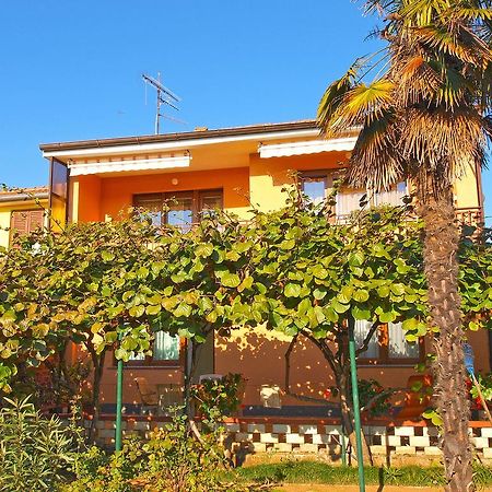 Apartment Josip 933 Fažana Zewnętrze zdjęcie